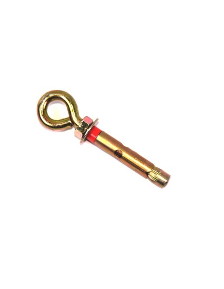 Expansion anchor bolt with ring M8 60mm - B10