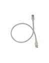 Hoses